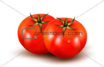 Tomatoes isolated on on white background. Photo-realistic vector