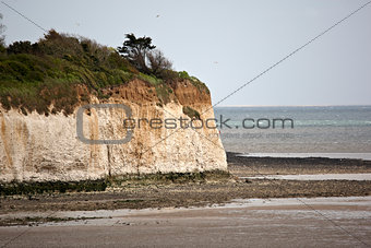 White Cliff at Pegwell Bay in Kent