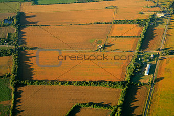 Cultivated farmland