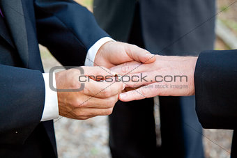 Gay Wedding - Exchanging Rings