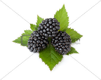 Three ripe blackberry with leaves