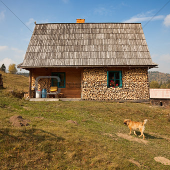 Simple rural house