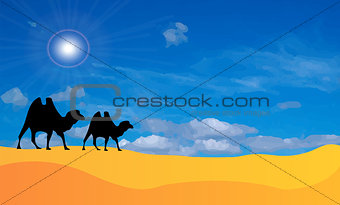 Vector desert landscape