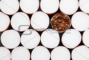 Filter cigarettes background