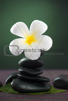 Stacked hot stones for massage spa and frangipani with green bac