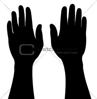 pair of vector hands