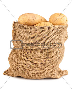 Ripe potatoes in sack on white background