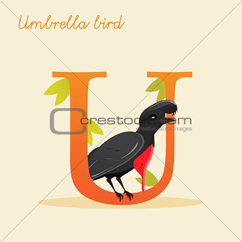 Animal alphabet with umbrella bird