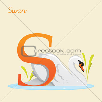 Animal alphabet with swan