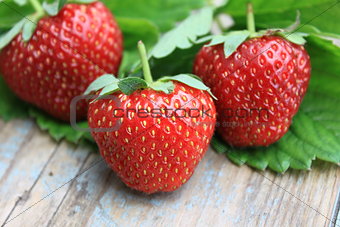 Fresh strawberries with green leaf on old wooden background