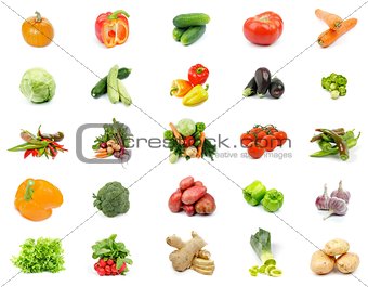 Collection of Raw Vegetables