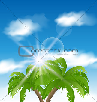 Summer holiday background with sunlight and palmtree