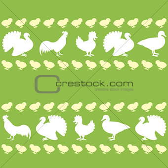 Seamless pattern with farm birds silhouettes