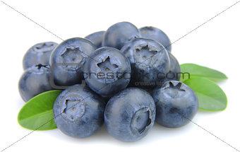 fresh blueberries with leafs