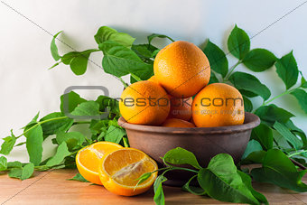 still life of oranges in a clay bowl with green branches 