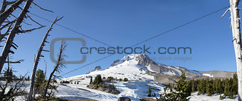 Mount Hood Oregon Panorama