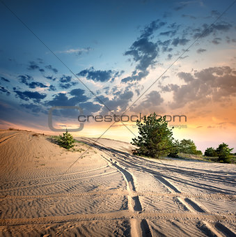 Country road in the desert