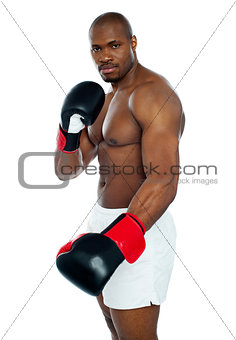 I am a boxer. Common face me