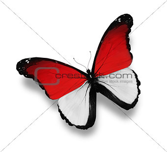 Monegasque flag butterfly, isolated on white