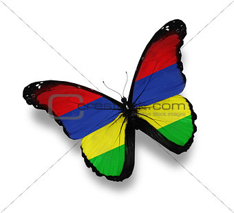 Mauritius flag butterfly, isolated on white