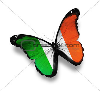Irish flag butterfly, isolated on white