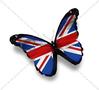 English flag butterfly, isolated on white