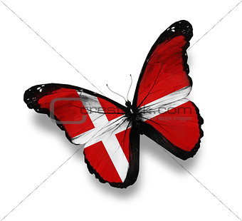 Danish flag butterfly, isolated on white