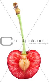  sweet cherry with petiole