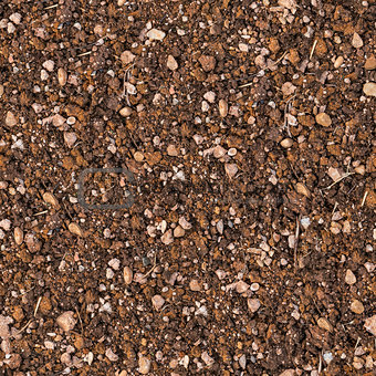 Soil with Small Stones. Seamless Texture.