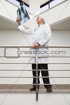 Doctor looking at x-ray leaning against railing