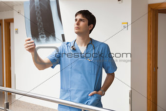 Nurse looking at x-ray