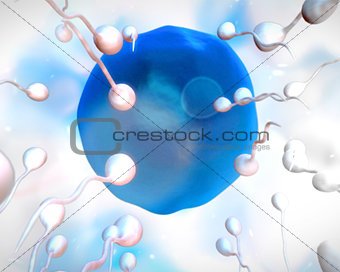 Blue egg being fertilized