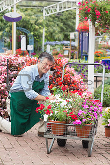 Garden center worker with trolley