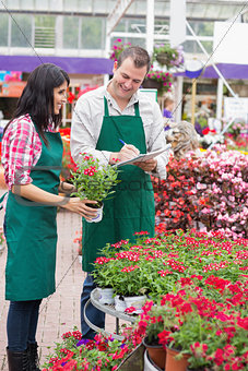 Two garden center employees making notes