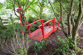 Red bridge in forest