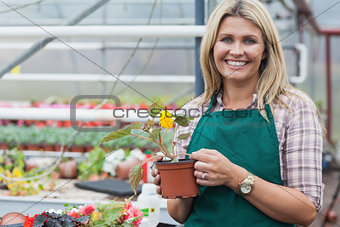 Blonde garden center worker holding flower pot