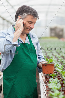 Greenhouse worker holding seedling and phoning