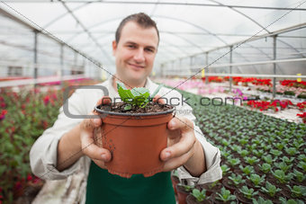 Man holding a potted plant up