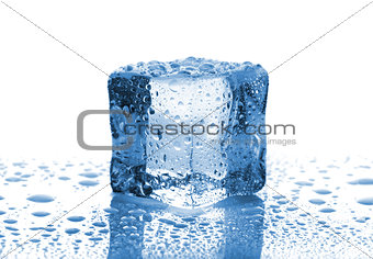 Single melted ice cube