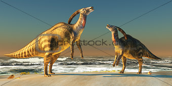 Parasaurolophus Beach