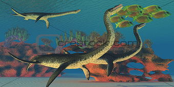 Undersea Plesiosaurus