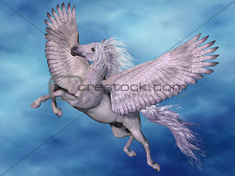 White Pegasus