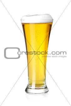 Beer collection - Cold lager beer in glass