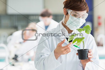 Woman standing at the laboratory holding a plant adding chemical to soil