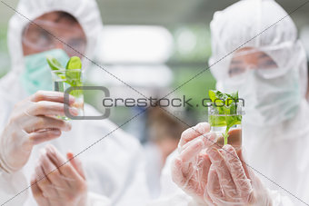 Two students standing at the laboratory holding beakers with seedlings