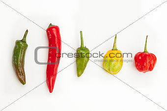Line up of spicy chillies