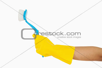 Woman's hand holding scrubbing brush