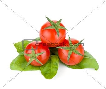 Cherry tomatoes and basil leafs