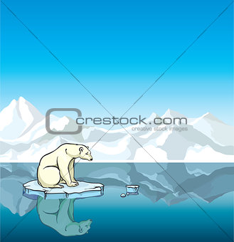 Polar bear and melting ice. Global warming.