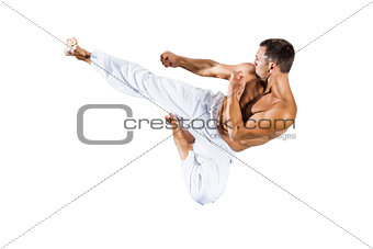 taekwondo martial arts master